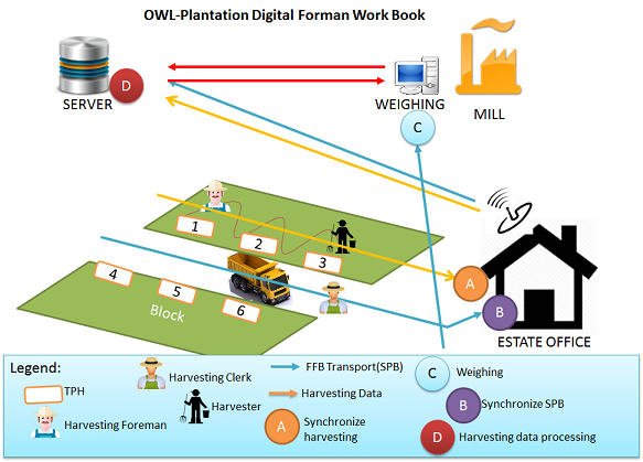 Digital BKM Flow Example